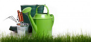 560x260 bigstock-Extra-large-horizontal-strip-o-30353201